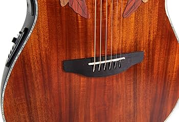 Amazon.com: Ovation Celebrity Elite Plus CE44P-FKOA A/E